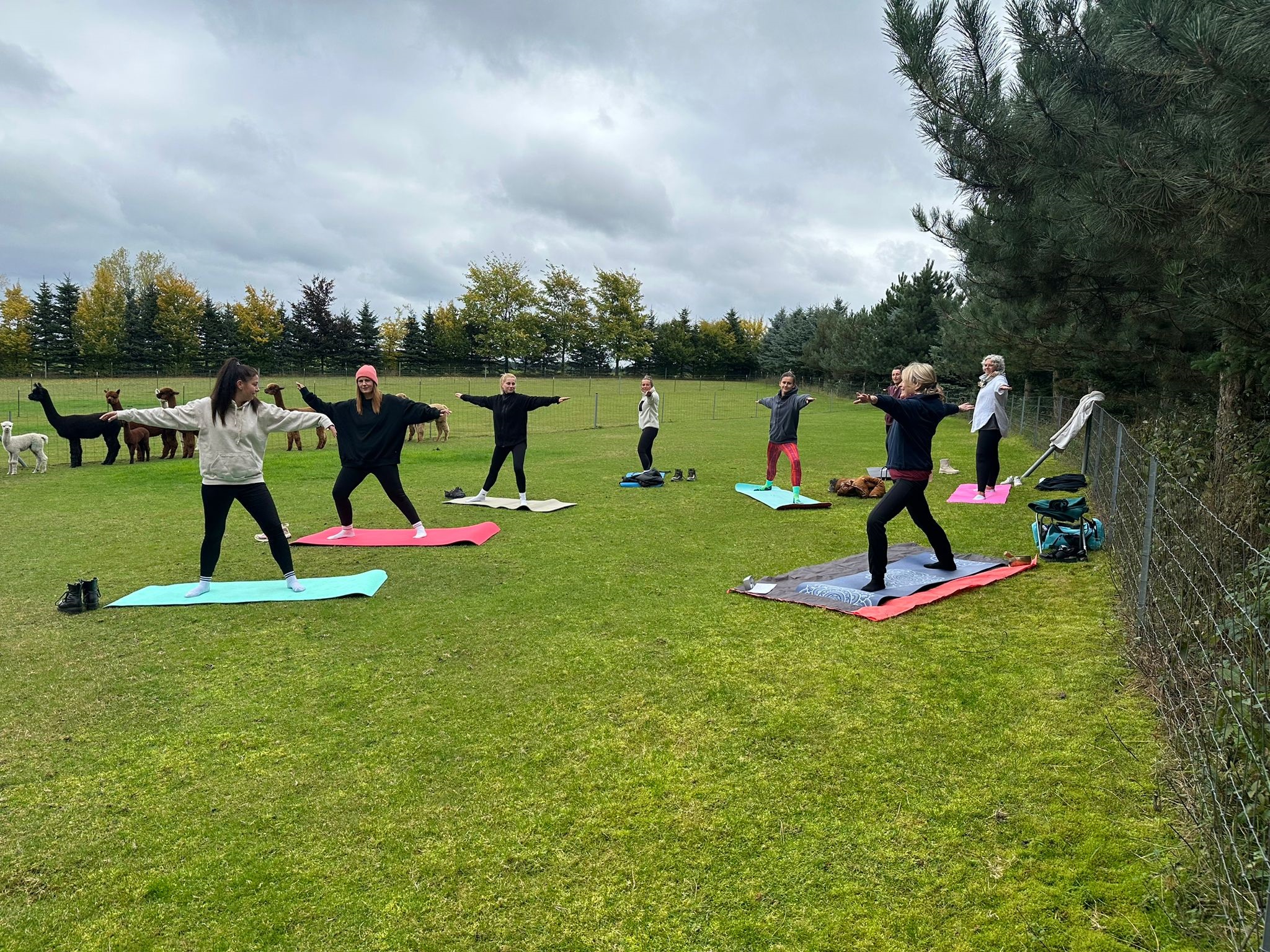Yoga und Alpakawanderung im Vogtland